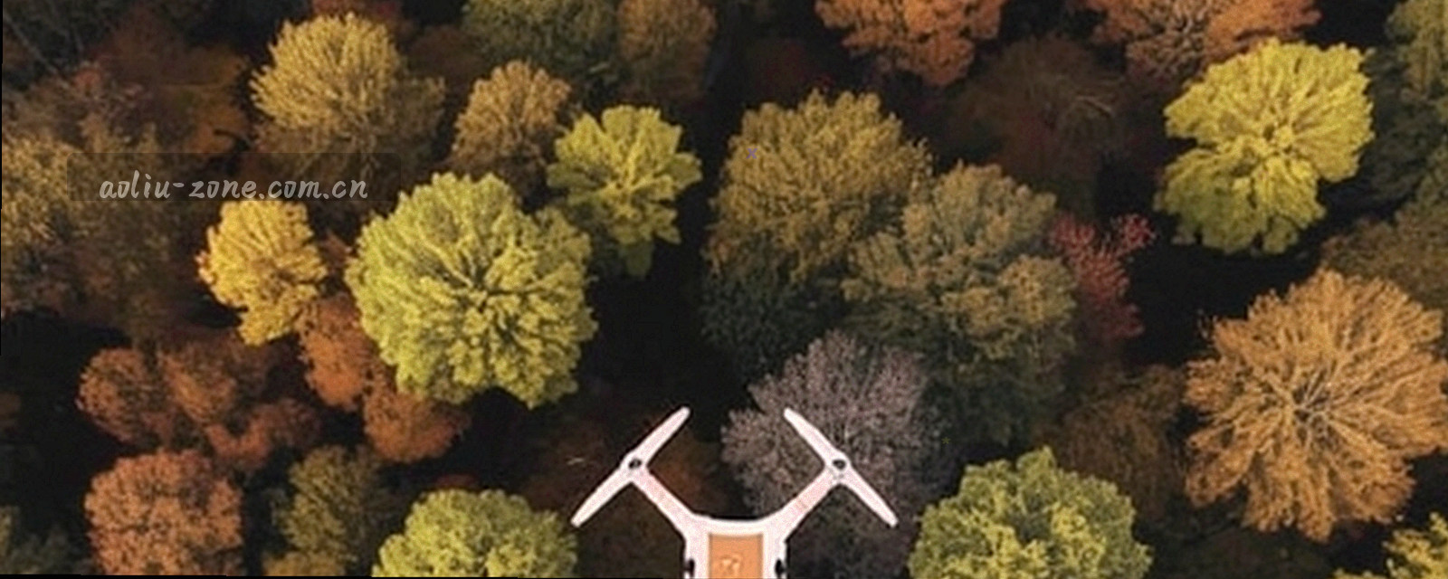 夜间湖岸与斜射光束，水面反光，画面右侧留出文字空间